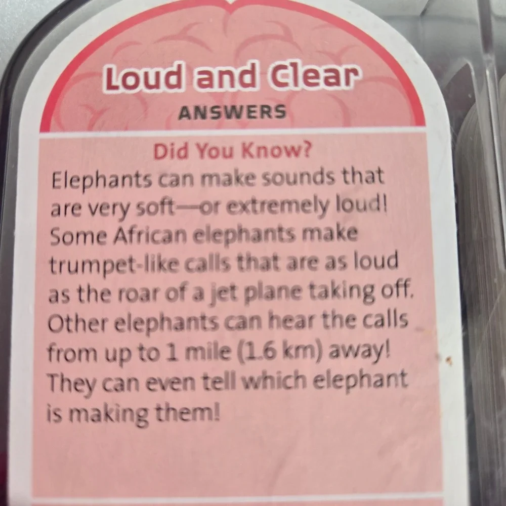 Melissa & Doug Smarty Pants Kindergarten Kids OS Pink educational Brain Cards